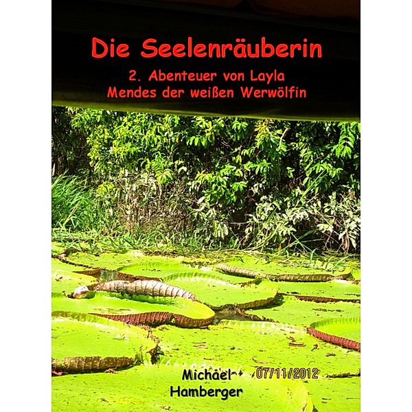 Die Seelenräuberin, Michael Hamberger