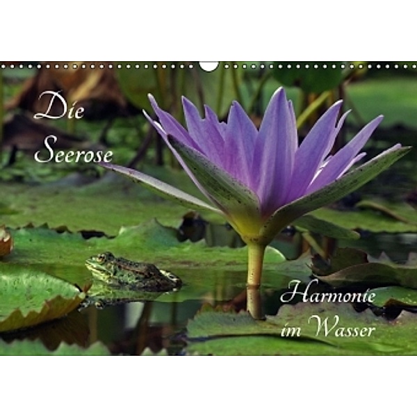 Die Seerose - Harmonie im Wasser (Wandkalender 2016 DIN A3 quer), Siegfried Fischer