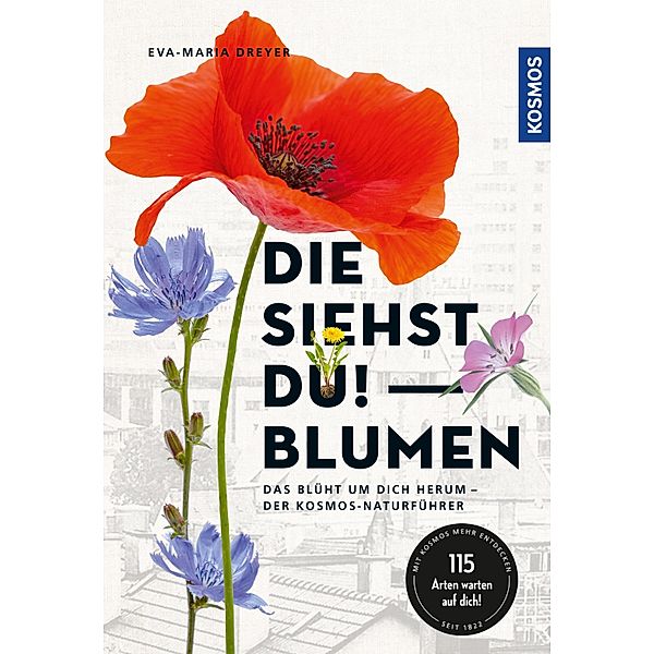 Die siehst du - Blumen, Eva-Maria Dreyer