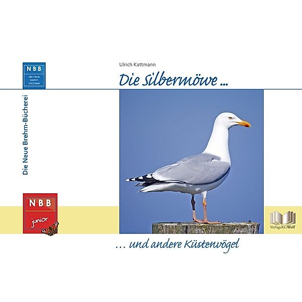 Die Silbermöwe und andere Küstenvögel, Ulrich Kattmann