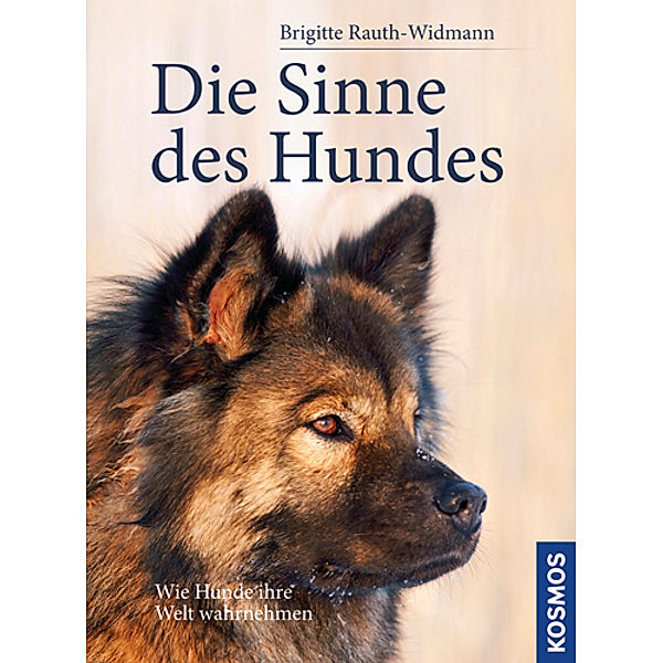 Die Sinne des Hundes, Brigitte Rauth-Widmann