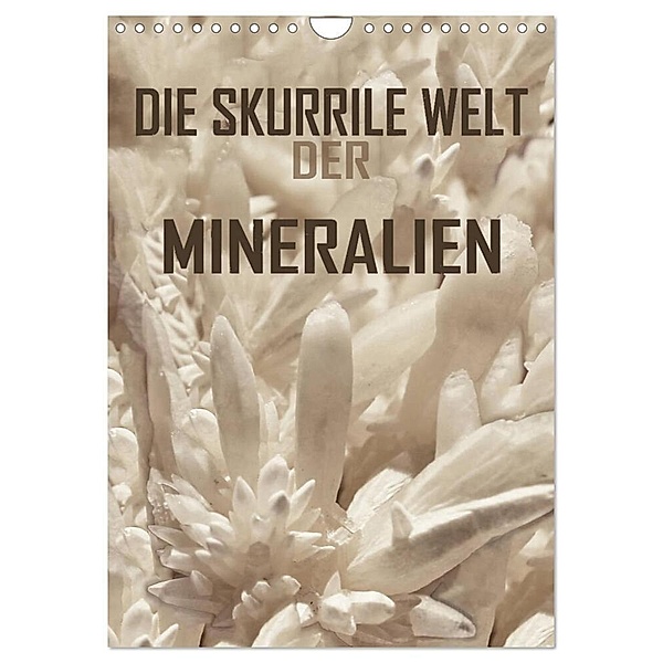 Die skurrile Welt der Mineralien (Wandkalender 2024 DIN A4 hoch), CALVENDO Monatskalender, reinhard sock