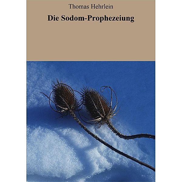 Die Sodom-Prophezeiung, Thomas Hehrlein