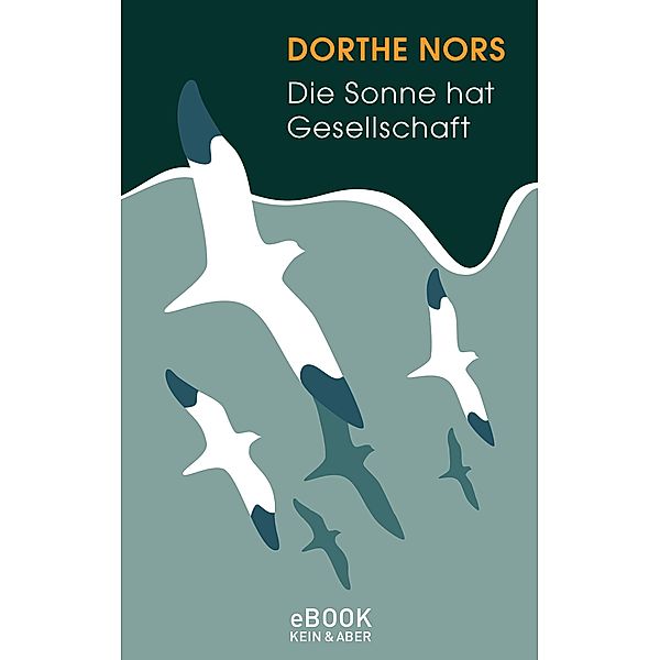 Die Sonne hat Gesellschaft, Dorthe Nors