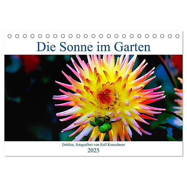 Die Sonne im Garten - Dahlien, fotografiert von Ralf Kretschmer. (Tischkalender 2025 DIN A5 quer), CALVENDO Monatskalender, Calvendo, Ralf Kretschmer