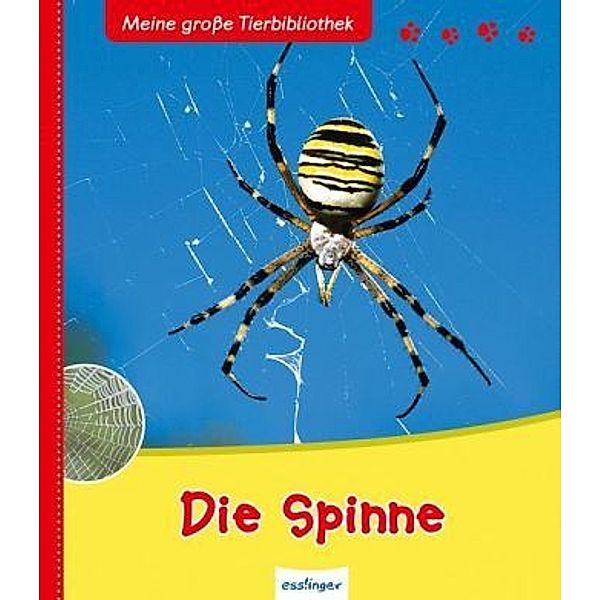 Die Spinne, Anne Vallet