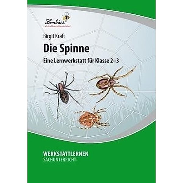 Die Spinne: Eine Lernwerkstatt für den Sachunterricht in Klasse 2 - 3, Werkstattmappe, Birgit Kraft