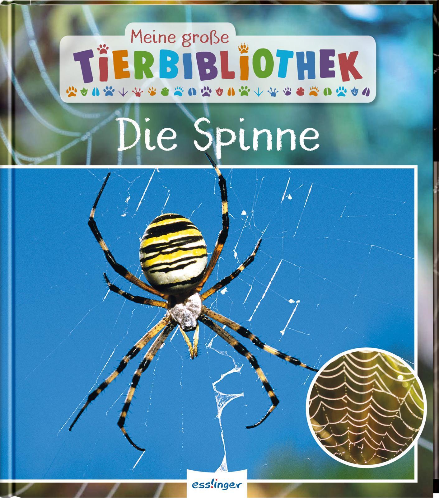 Sachbuch für Vorschule & Grundschule Meine große Tierbibliothek Der Schmetterling 