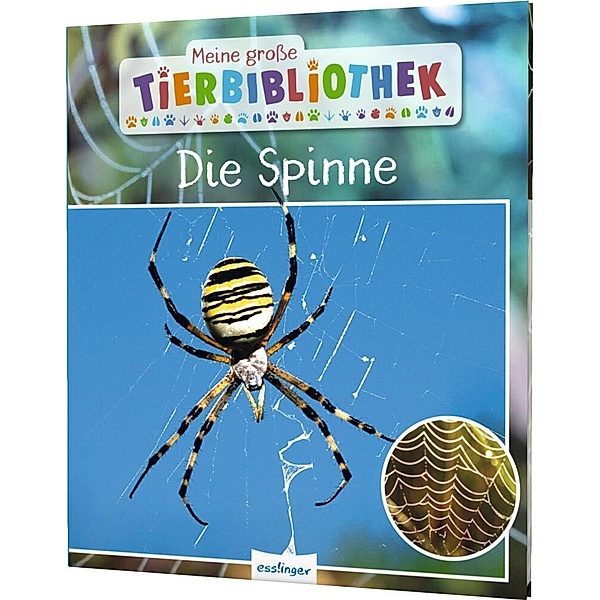 Die Spinne / Meine große Tierbibliothek Bd.24, Jens Poschadel