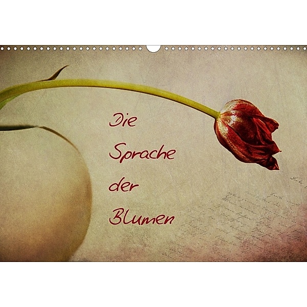 Die Sprache der Blumen (Posterbuch DIN A4 quer), Claudia Möckel