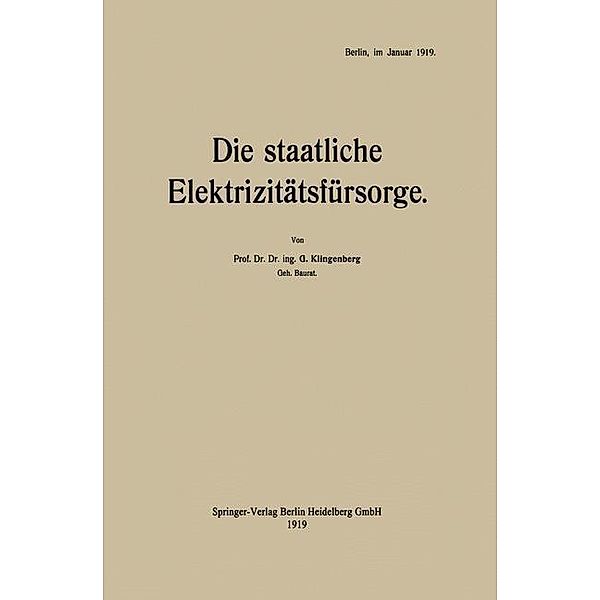 Die staatliche Elektrizitätsfürsorge, Georg Klingenberg