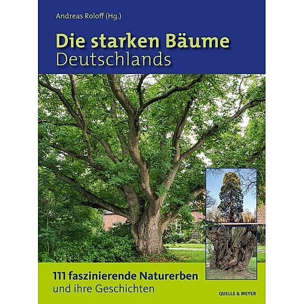 Die starken Bäume Deutschlands
