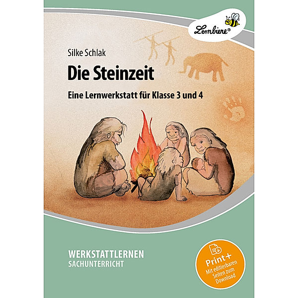 Die Steinzeit, m. 1 Beilage, Silke Schlak