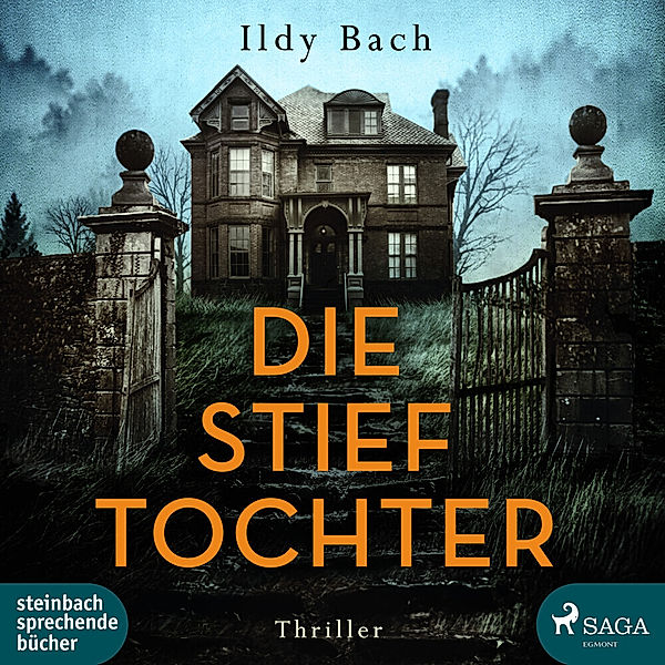 Die Stieftochter,2 Audio-CD, MP3, Ildy Bach