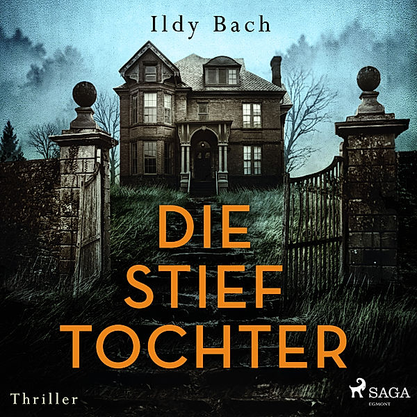 Die Stieftochter, Ildy Bach