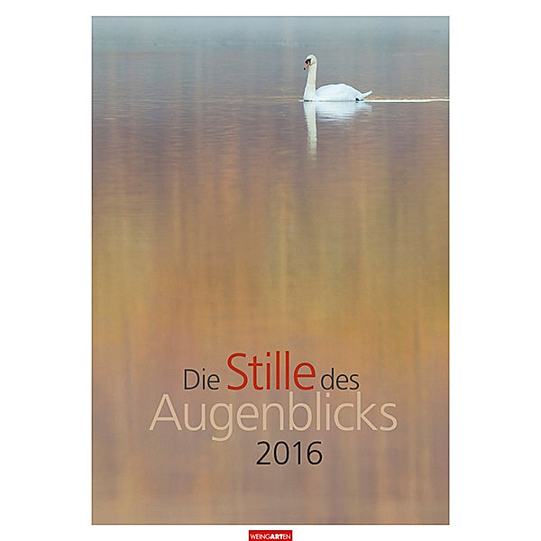 Die Stille des Augenblicks 2016