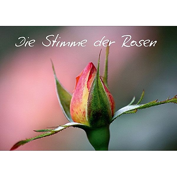 Die Stimme der Rosen (Tischaufsteller DIN A5 quer), Bernd Witkowski