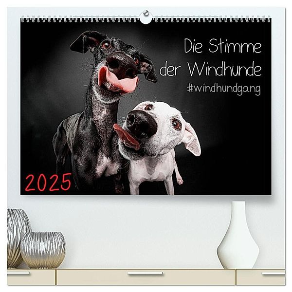 Die Stimme der Windhunde (hochwertiger Premium Wandkalender 2025 DIN A2 quer), Kunstdruck in Hochglanz, Calvendo, Marcus Gier