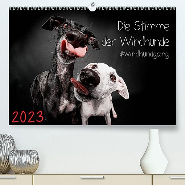 Die Stimme der Windhunde (Premium, hochwertiger DIN A2 Wandkalender 2023, Kunstdruck in Hochglanz), Marcus Gier