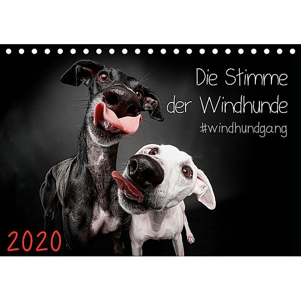 Die Stimme der Windhunde (Tischkalender 2020 DIN A5 quer), Marcus Gier