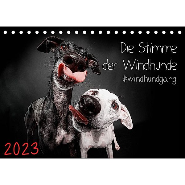 Die Stimme der Windhunde (Tischkalender 2023 DIN A5 quer), Marcus Gier