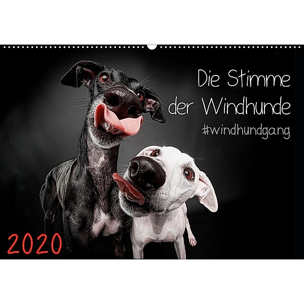 Die Stimme der Windhunde (Wandkalender 2020 DIN A2 quer), Marcus Gier