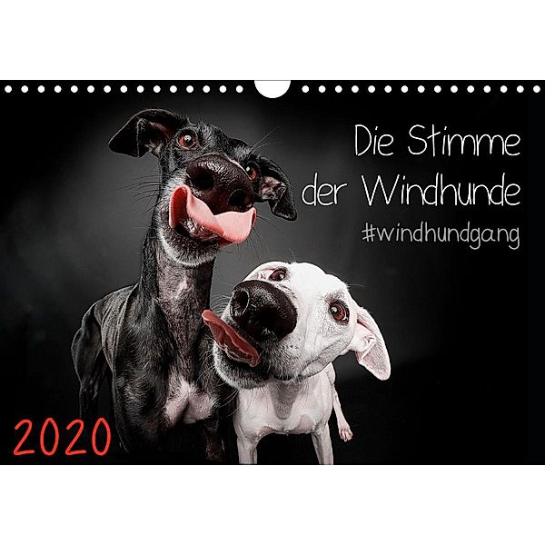 Die Stimme der Windhunde (Wandkalender 2020 DIN A4 quer), Marcus Gier