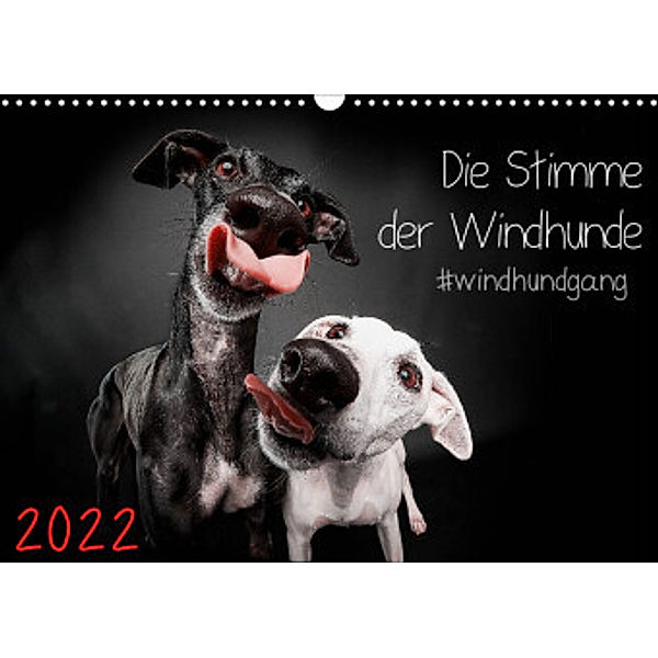 Die Stimme der Windhunde (Wandkalender 2022 DIN A3 quer), Marcus Gier