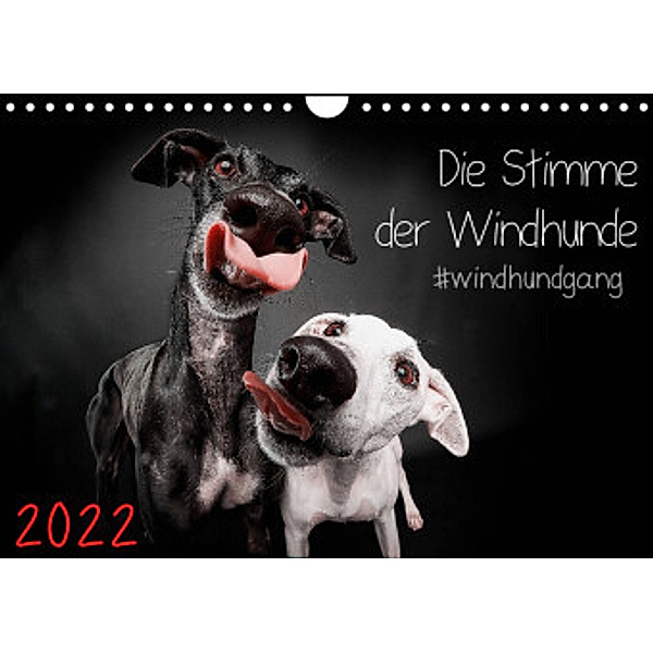 Die Stimme der Windhunde (Wandkalender 2022 DIN A4 quer), Marcus Gier