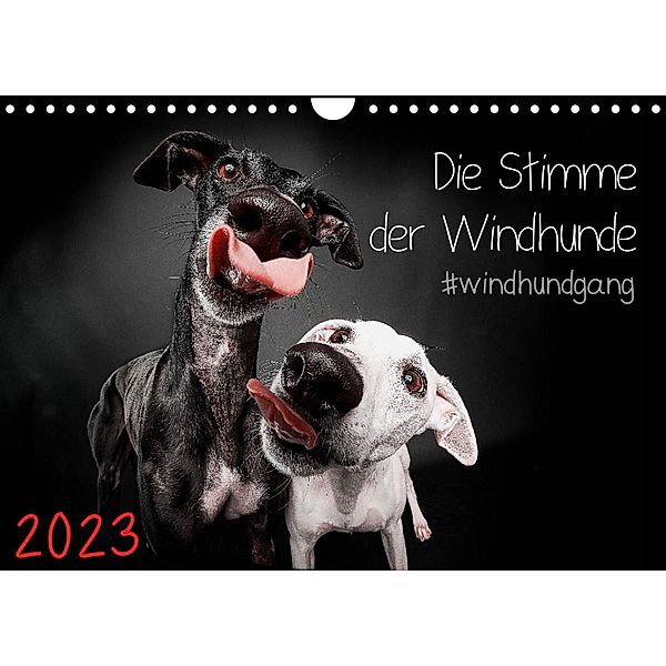 Die Stimme der Windhunde (Wandkalender 2023 DIN A4 quer), Marcus Gier