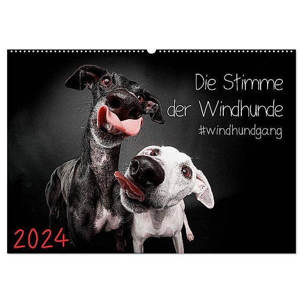 Die Stimme der Windhunde (Wandkalender 2024 DIN A2 quer), CALVENDO Monatskalender, Marcus Gier