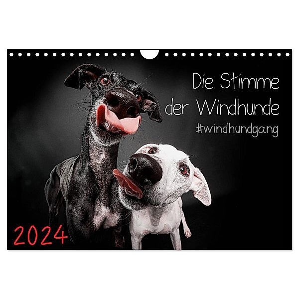 Die Stimme der Windhunde (Wandkalender 2024 DIN A4 quer), CALVENDO Monatskalender, Marcus Gier
