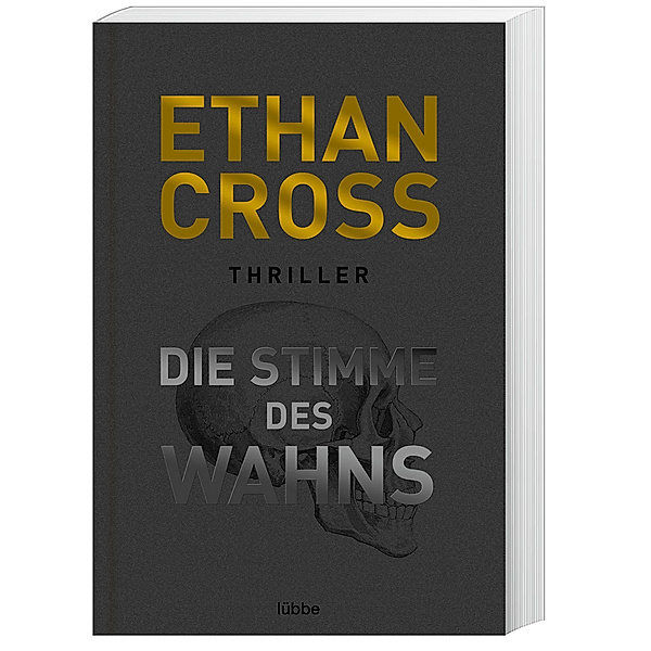 Die Stimme des Wahns / Ackerman & Shirazi Bd.3, Ethan Cross