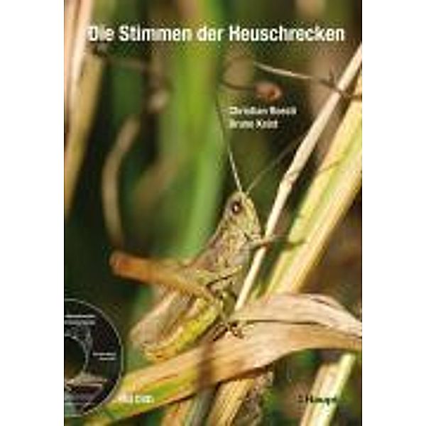 Die Stimmen der Heuschrecken, m. DVD, Christian Roesti, Bruno Keist