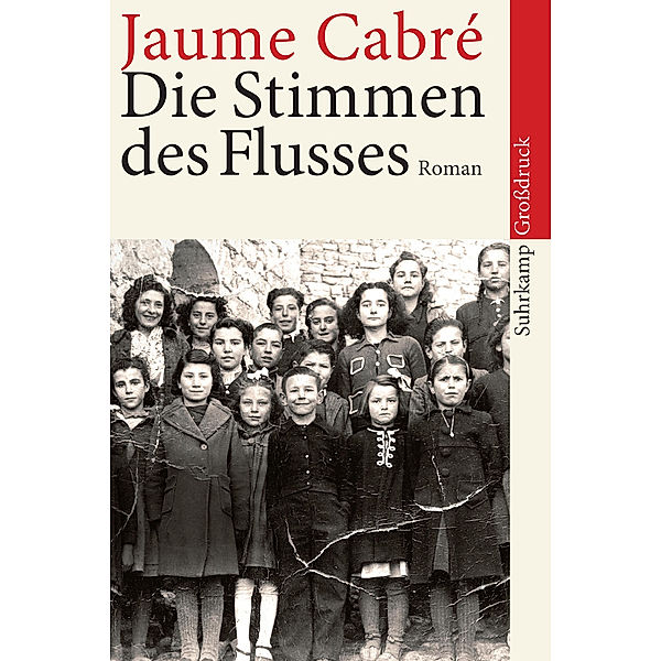 Die Stimmen des Flusses, Großdruck, Jaume Cabré