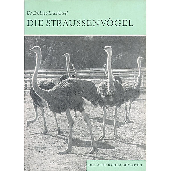Die Straussenvögel, Ingo Krumbiegel