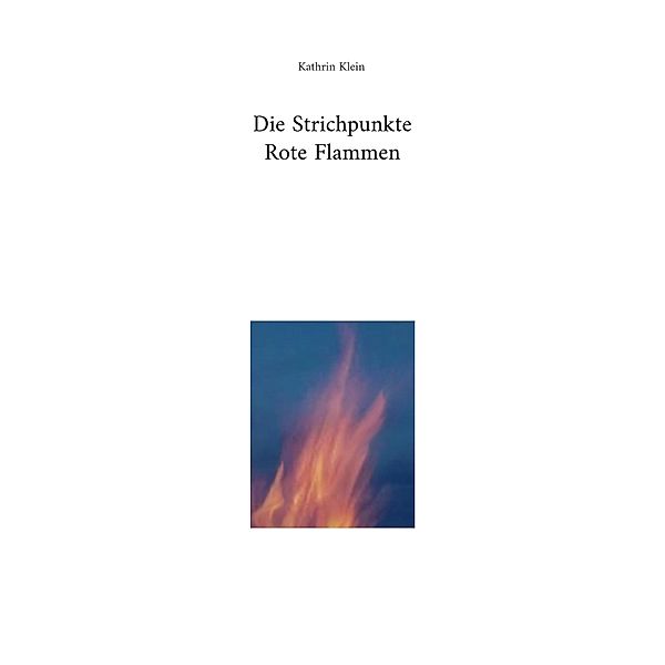 Die Strichpunkte Rote Flammen / Die Strichpunkte Bd.3, Kathrin Klein