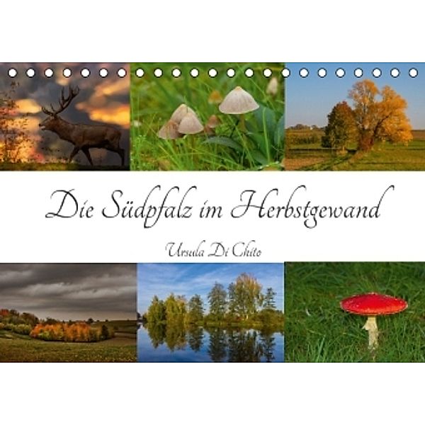 Die Südpfalz im Herbstgewand (Tischkalender 2016 DIN A5 quer), Ursula Di Chito