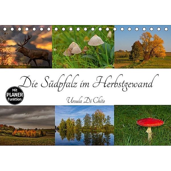 Die Südpfalz im Herbstgewand (Tischkalender 2017 DIN A5 quer), Ursula Di Chito