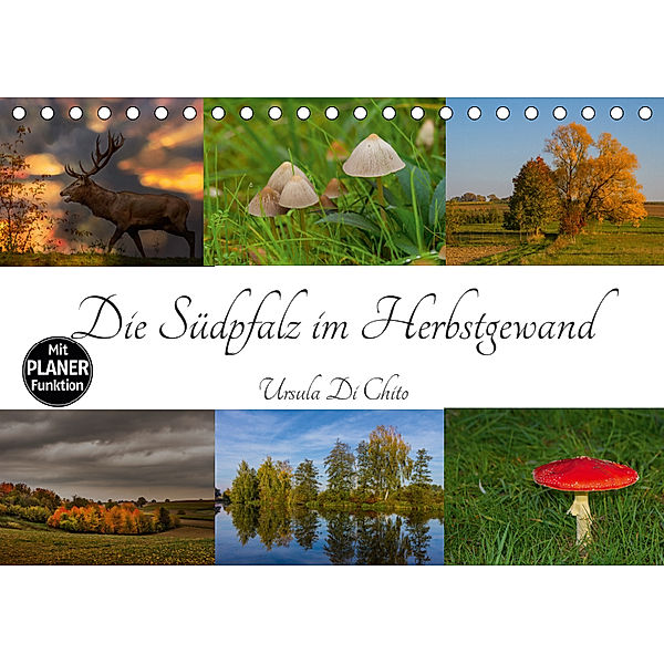 Die Südpfalz im Herbstgewand (Tischkalender 2019 DIN A5 quer), Ursula Di Chito