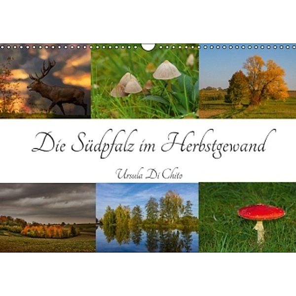 Die Südpfalz im Herbstgewand (Wandkalender 2016 DIN A3 quer), Ursula Di Chito