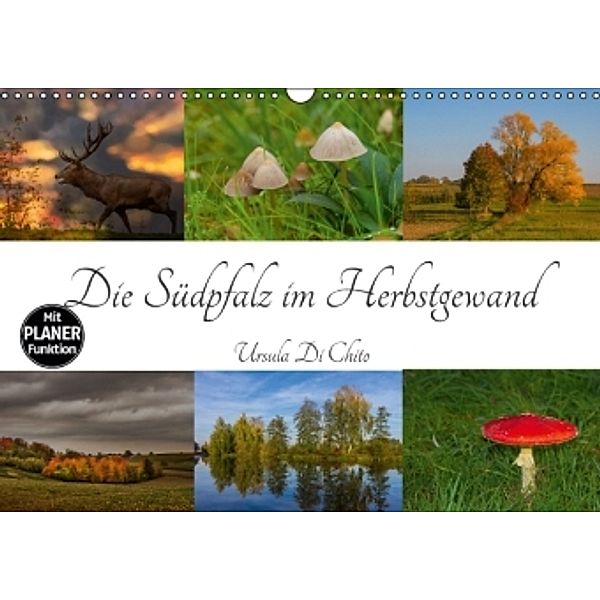 Die Südpfalz im Herbstgewand (Wandkalender 2016 DIN A3 quer), Ursula Di Chito