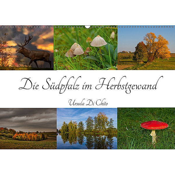 Die Südpfalz im Herbstgewand (Wandkalender 2019 DIN A2 quer), Ursula Di Chito