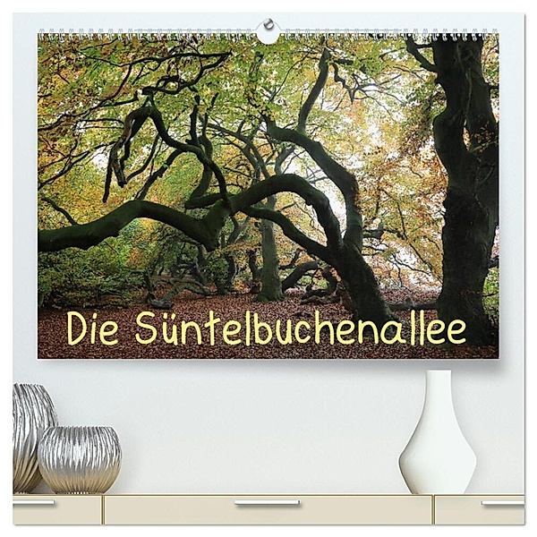 Die Süntelbuchenallee (hochwertiger Premium Wandkalender 2024 DIN A2 quer), Kunstdruck in Hochglanz, Bernhard Loewa