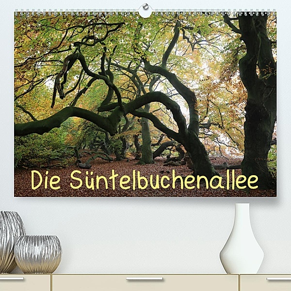 Die Süntelbuchenallee (Premium-Kalender 2020 DIN A2 quer), Bernhard Loewa