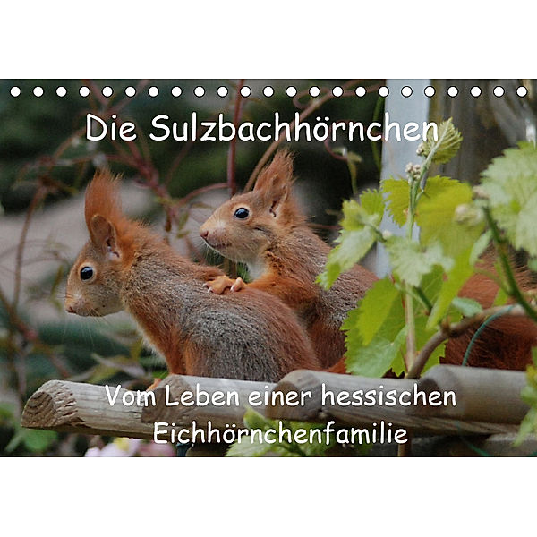 Die Sulzbachhörnchen - vom Leben einer hessischen Eichhörnchenfamilie (Tischkalender 2019 DIN A5 quer), Heike Adam