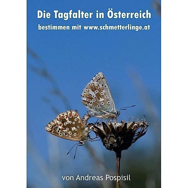 Die Tagfalter Österreichs bestimmen, Andreas Pospisil