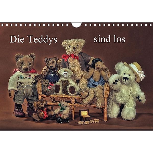 Die Teddys sind los (Wandkalender 2021 DIN A4 quer), Claus Eckerlin