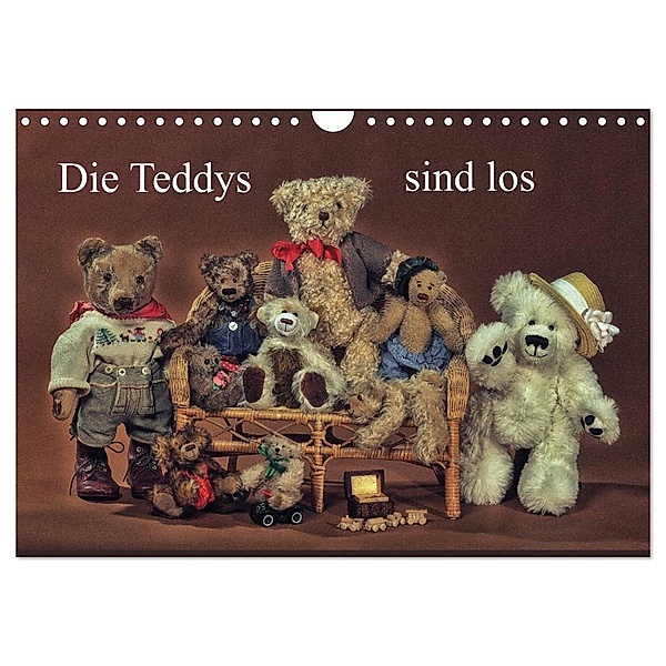 Die Teddys sind los (Wandkalender 2024 DIN A4 quer), CALVENDO Monatskalender, Claus Eckerlin