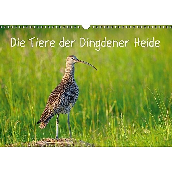 Die Tiere der Dingdener Heide (Wandkalender 2017 DIN A3 quer), Christof Wermter